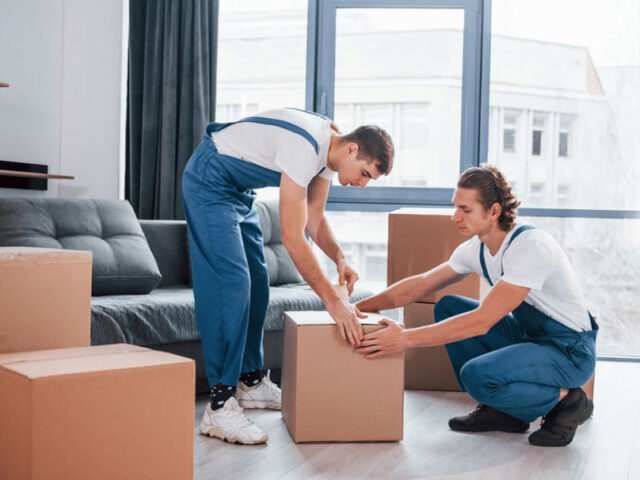 Top Professional Moving & Packing Companies in Illinois: Trusted Services for a Smooth Move