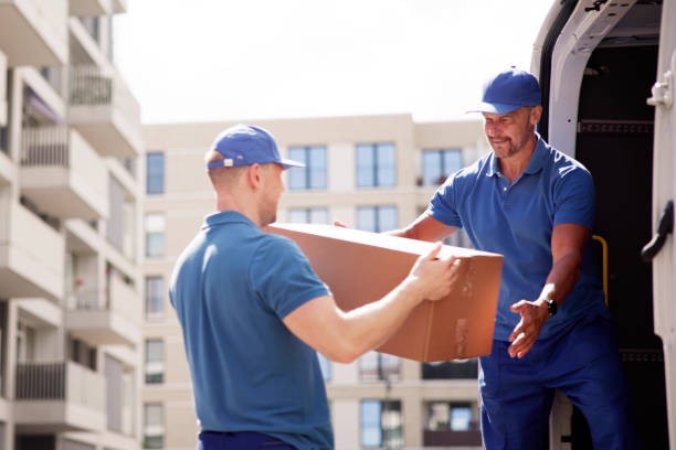 No Panic, Just Packing: The Real Value of Stress Free Moving Services